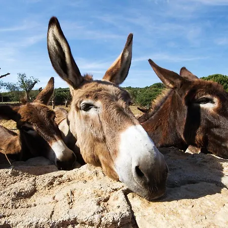 With Swimming Pool A Few Minutes From Aparthotel 3*